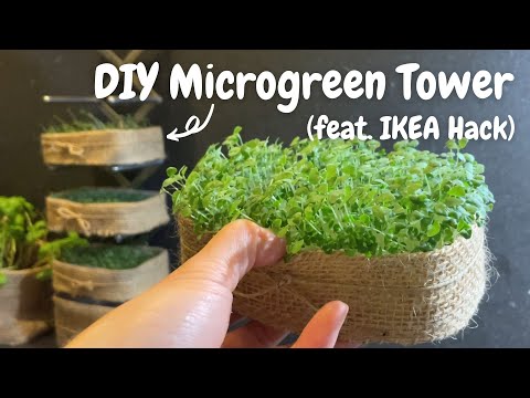 [CC] 🌱 DIY Microgreen Tower | Self-Watering System | Dream Urban Farm | Ikea Hack