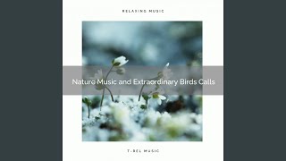 Download Lagu Birds Noise and Lovely Dense Forest Noises for Extreme Recharge pt. 2