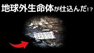 【衝撃】2億年前のマイクロチップに世界が震えた！