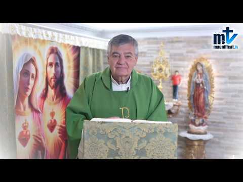 “Seguir a Jesús Tiene un Precio: Cargar con la Cruz” | Homilía, Sábado XII del T.O | P. Santiago M