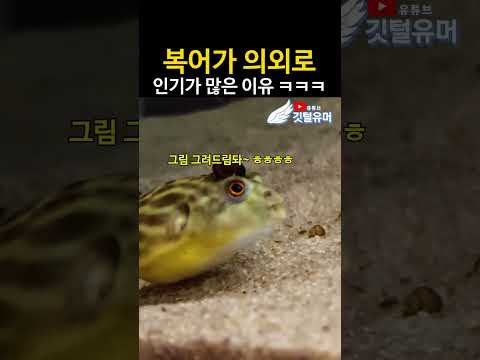 보고만 있어도 기분 좋아짐 ㅋㅋㅋㅋㅋㅋ thumbnail