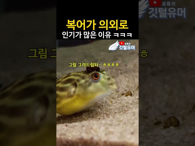 보고만 있어도 기분 좋아짐 ㅋㅋㅋㅋㅋㅋ
