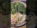 日本トップレベルの春菊うどん！旅行アナリスト　こやさんテレビ #⃣こやさんテレビ #料理