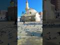 Masjid E Abu Bakr Al Madina Madina Macca Abubakr Saudiaarbia