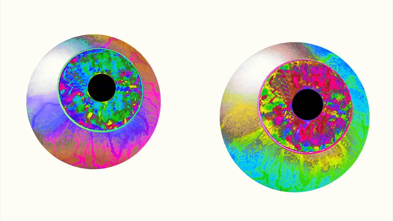 DAN LISSVIK - AIRWALK