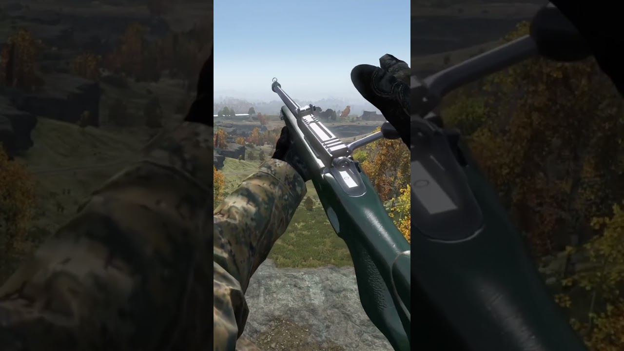 DayZ New VS-89