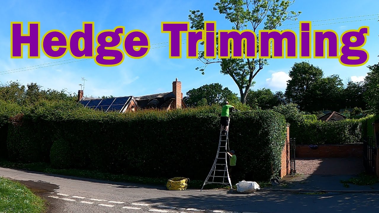 Hedge Trimming YouTube