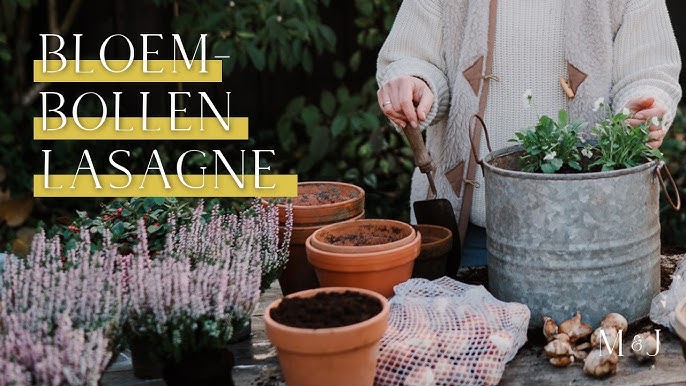 Bloembollen lasagne - YouTube Bloembollen Lasagne - Youtube