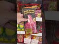 Fancy meat shaped ice creams #iphone16promax #icecream #meat #cornerstore