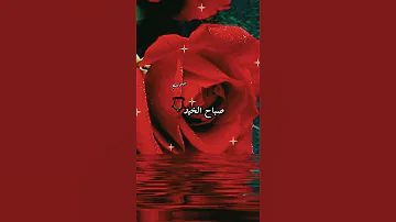 قالت لي حبيبتي صباح الخير خواطر بسام Shorts خواطر راقية خواطر حزينه ستوريات حالات خواطر 