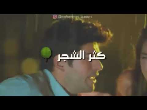 قد المطر وكثر الشجر حبي الك ماله عمر