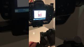 IMG 1107