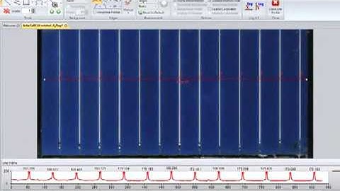Image Pro Insight: Measure Objects