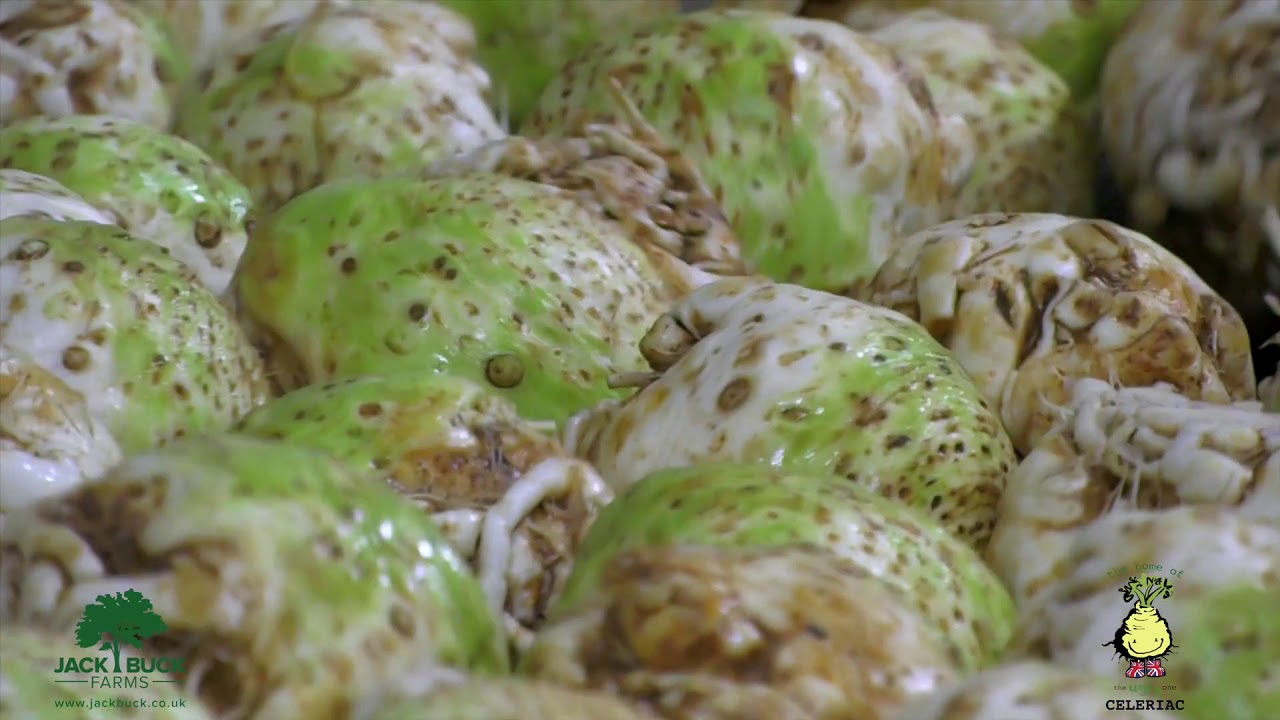 Jack Buck Farms Celeriac Wash and Packhouse 2020