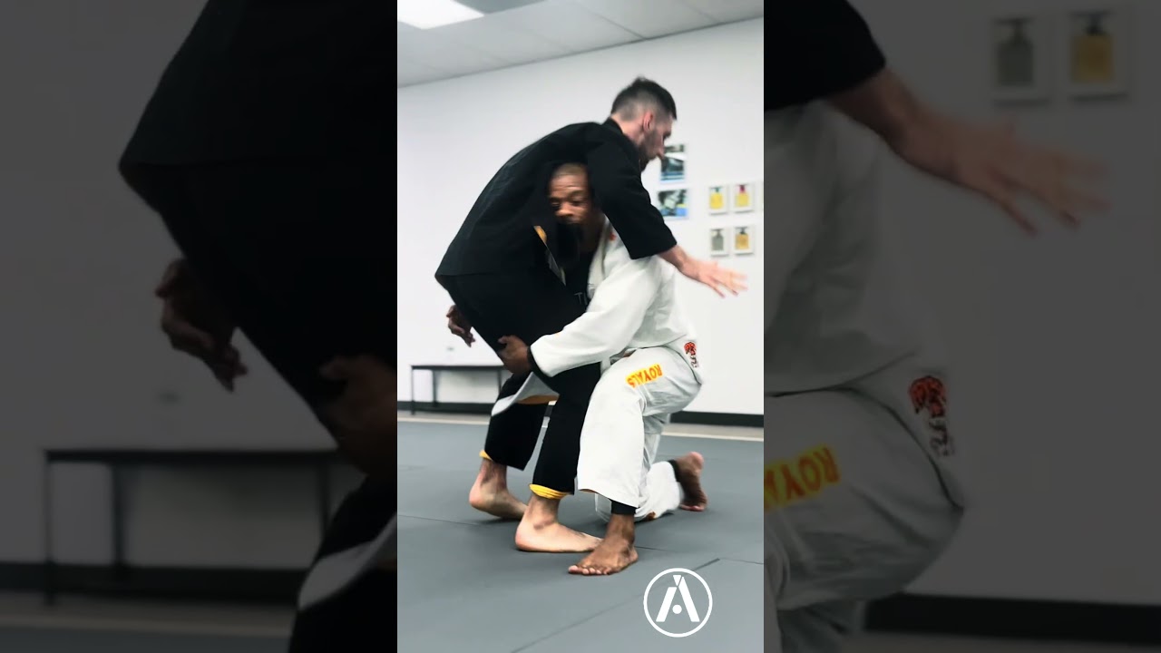 Adult Jiu Jitsu Classes in Chicago | Brazilian Jiu Jitsu Training & Self Defense