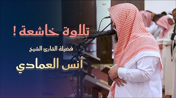 إن الله فالق الحب والنوى | تلاوة تحبيرية للشيخ أنس العمادي | صلاة المغرب 1446 هـ