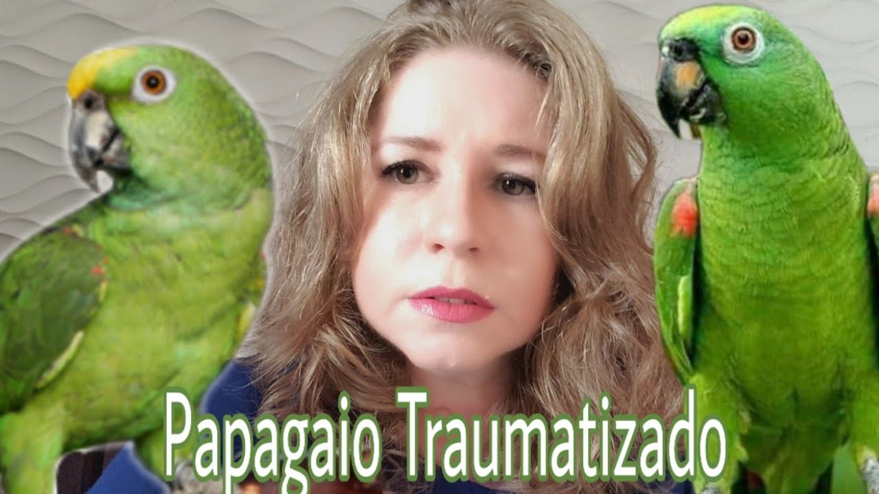 Assinale A Melhor Resposta Em Papagaio Temos