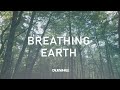 Breathing EARTH 🌎 Grounding Slow Shamanic Drummming : Wind Chimes : ROOT Chakra Meditation