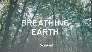 Breathing EARTH 🌎 Grounding Slow Shamanic Drummming : Wind Chimes : ROOT Chakra Meditation