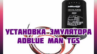 Отключение мочевины ADBLUE MAN TGS