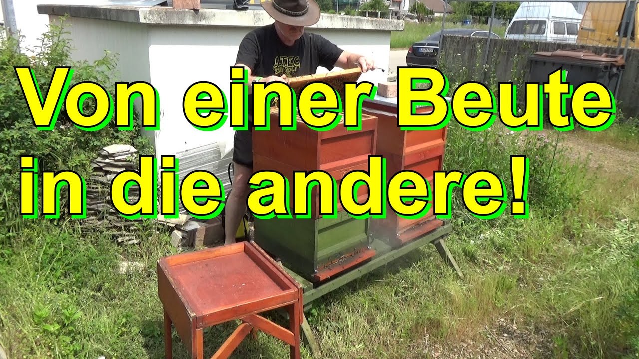 Die Beute / Offizieller Trailer / HD Deutsch