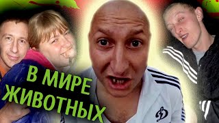 БЫДЛО в ПОДЪЕЗДАХ и ЛИФТАХ [ ЖИВОТНЫЕ НЕ МОГУТ ЖИТЬ как ЛЮДИ...]