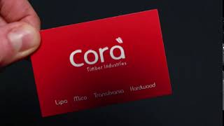 biglietto da visita 3d screenshot 4