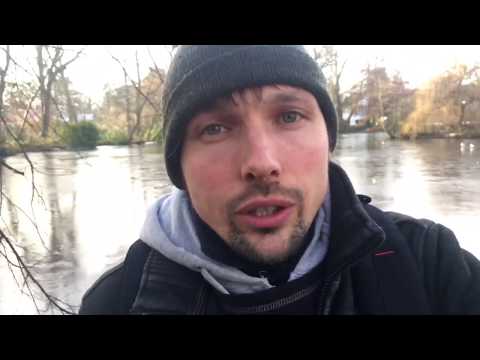 How to feed the fish
