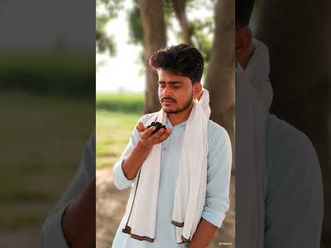 jamun jamunie rhi .... . ❣️💔😍 #viralshort #farming #farming #blackberry #jamuna_news