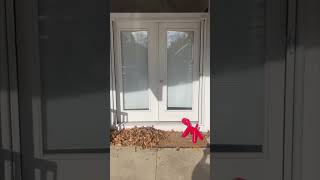 🏡 Mid Century Modern ❤️ Home FOR SALE ☎️ RING Realtor RYAN