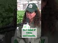 Beyond the Board: Gotham Greens | Whole Foods Market