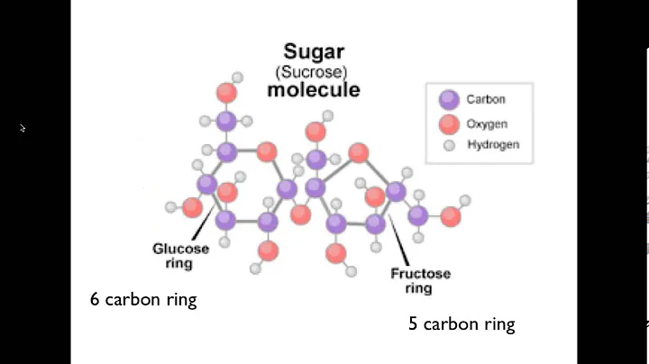 "Insulin Resistance" with Dr. Robert Maki, ND