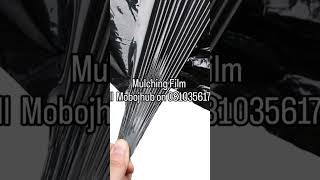 Professional-grade 35-micron plastic mulching film, dual-layer black and silver reflective design.