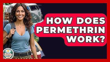 How Does Permethrin Work? - The Family Getaway Guide