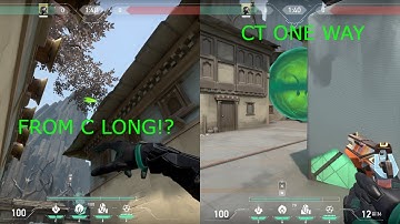 All Viper One Way Smokes on Haven