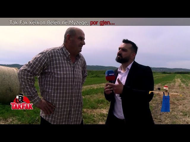 Tak Fak kërkon Belën në Myzeqe, por gjen...