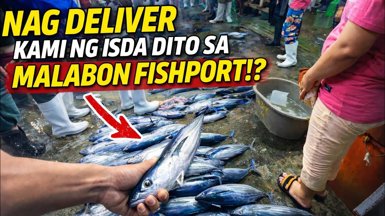 Nag deliver kami ng isda dito sa Malabon Fishport!? |Ep.21 P-7