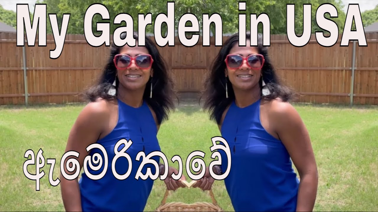 My Garden Life in USA Love Gardening Sinhala YouTube