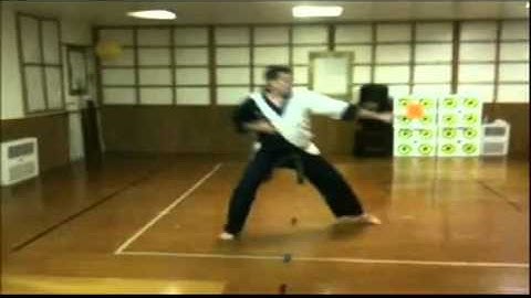 Tang Soo Do 2.0 Intermediate form 10