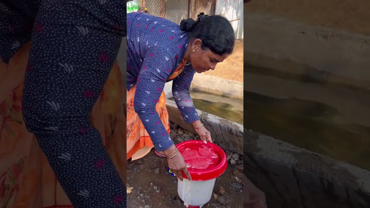 बघा आज आपल्या खुरवड्यात काय निघाले आज 😳