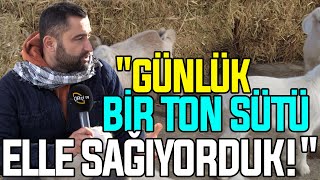 Oğlak Kuzudan Daha Organik! / 'Günlük bir ton sütü elle sağıyorduk!' by ÇİFTÇİ TV 2,490 views 2 weeks ago 44 minutes