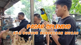 SPLENDID MARKET THIS MORNING HAS CHEAP BUNDLED BIRDS