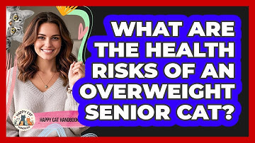 What Are The Health Risks Of An Overweight Senior Cat? - Happy Cat Handbook