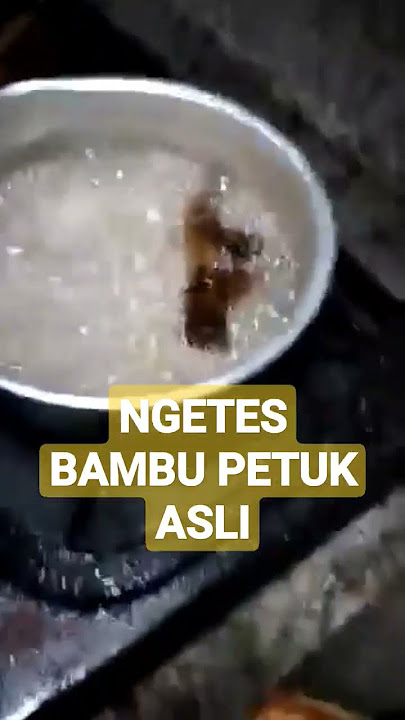 cara ngetes bambu petuk asli/palsu