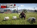 Red Dead Redemption 2 - Fails &amp; Funnies #308