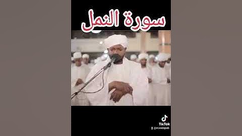 الشيخ نورين محمد صديق  سورة النمل