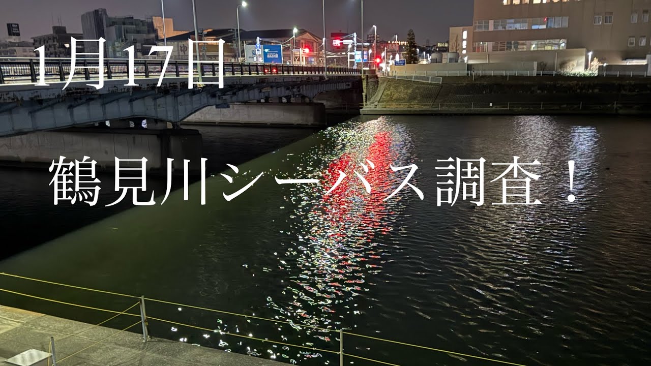 【鶴見川】1月17日鶴見川シーバス調査！