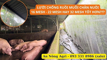 Lưới Chống Muỗi Chuồng Trại Chăn Nuôi: Nên Chọn 16 mesh, 22 mesh hay 32 mesh cho heo, bò, gà,...