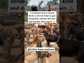 Vist my PayPal link in bio if you’re there kind to help my dogs get 200$ for buying blankets please