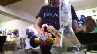 The Amazing Wonder Worm